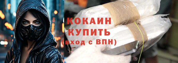 хмурый Алексин