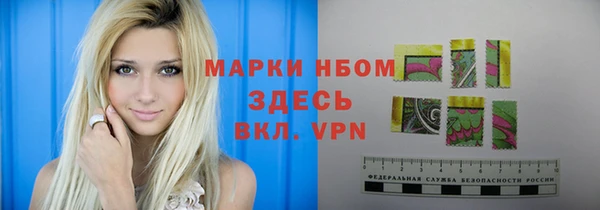 хмурый Алексин