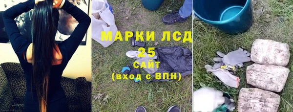 хмурый Алексин