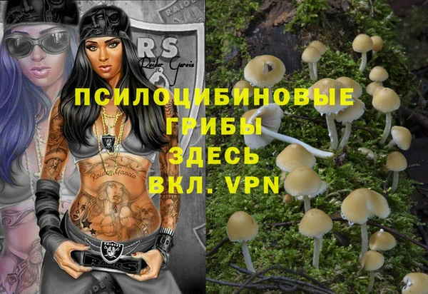 прущая мука Алзамай