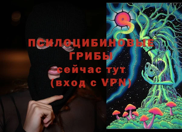 кристаллы Осинники