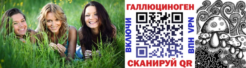 где купить   Юрьевец  Псилоцибиновые грибы прущие грибы 