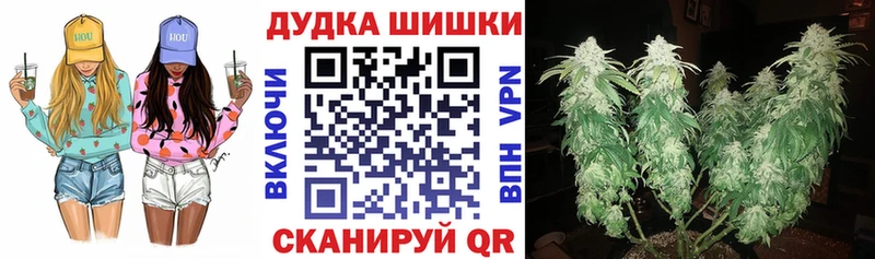 Бошки Шишки гибрид  Юрьевец 